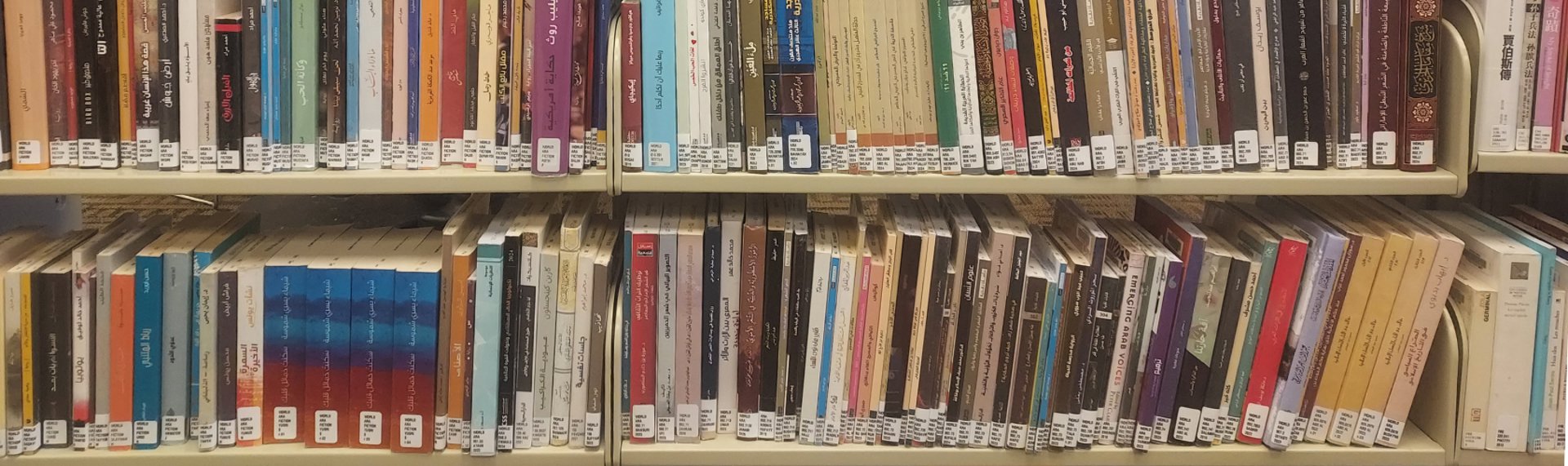 Home Boise Public Library