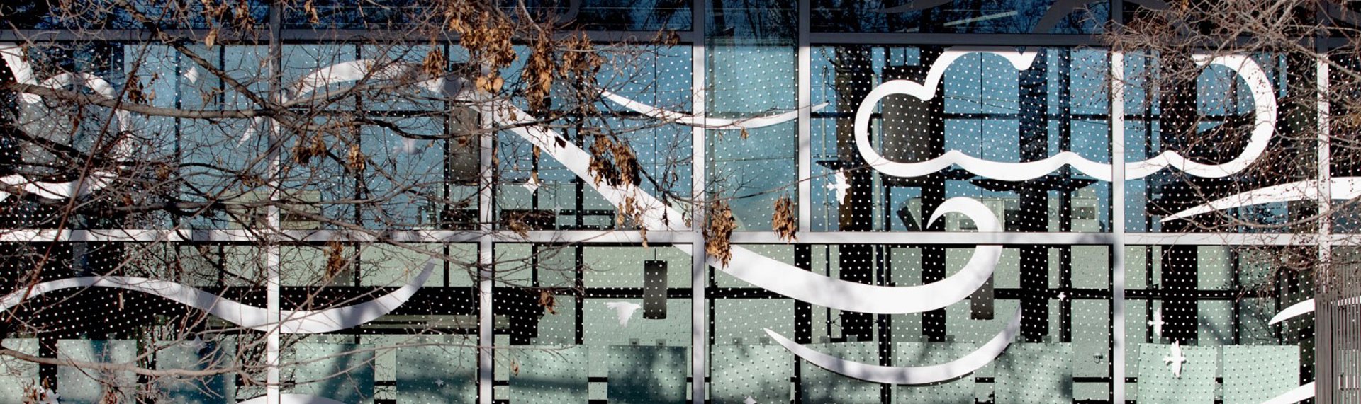 Boise Unveils Bird Safe Mural At Library To Prevent Bird Strikes