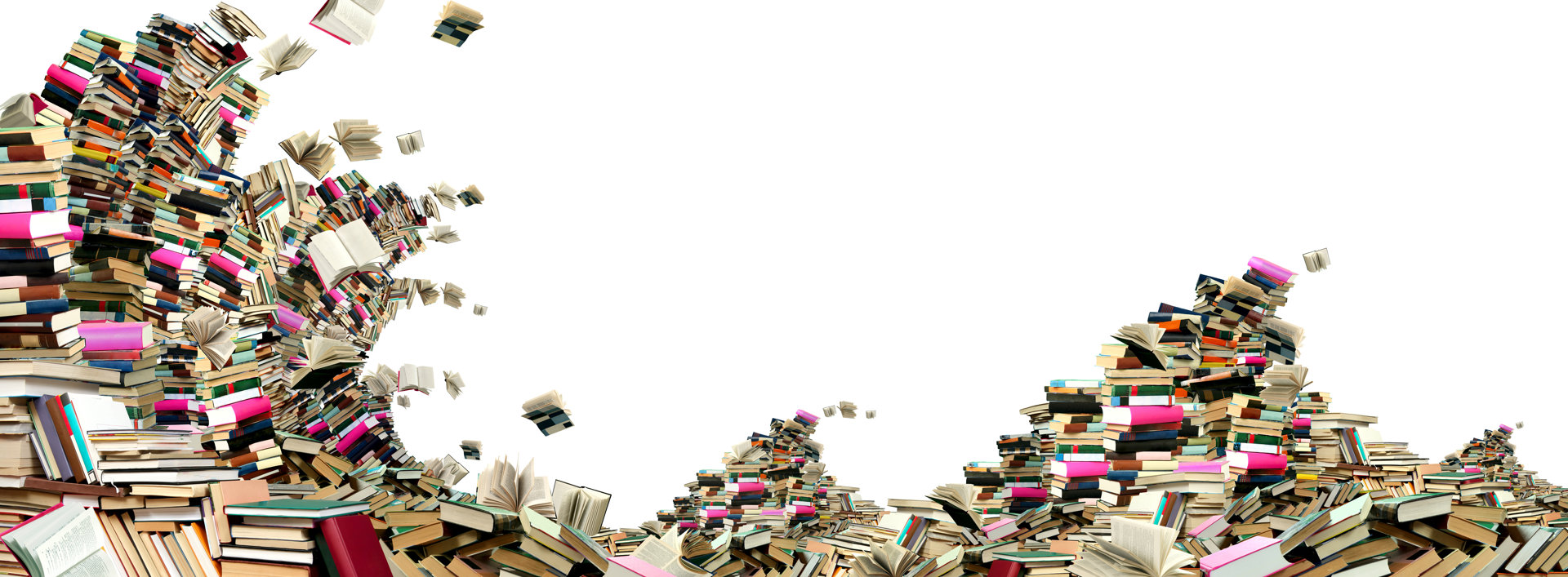 Home Boise Public Library